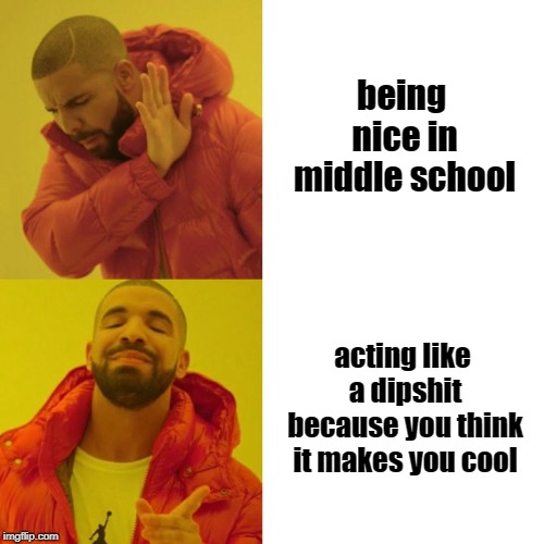 Story of my life | being nice in middle school; acting like a dipshit because you think it makes you cool | image tagged in drake meme | made w/ Imgflip meme maker