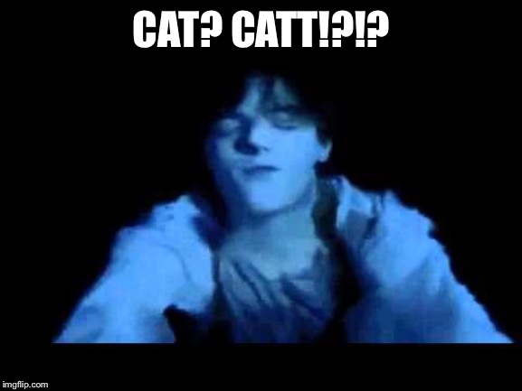 Titanic-Jack | CAT? CATT!?!? | image tagged in titanic-jack | made w/ Imgflip meme maker