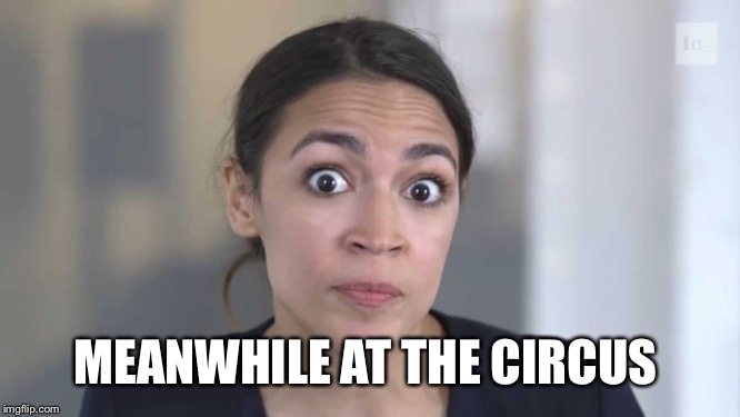 Crazy Alexandria Ocasio-Cortez | MEANWHILE AT THE CIRCUS | image tagged in crazy alexandria ocasio-cortez | made w/ Imgflip meme maker