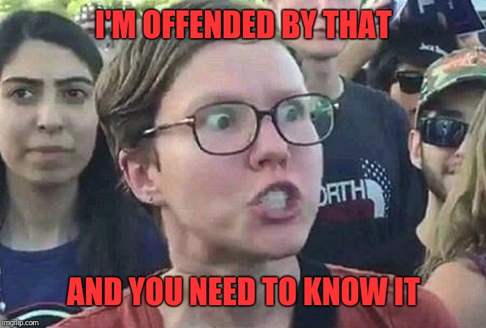 Triggered Liberal | I'M OFFENDED BY THAT AND YOU NEED TO KNOW IT | image tagged in triggered liberal | made w/ Imgflip meme maker