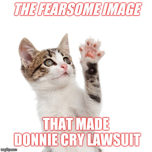 THE FEARSOME IMAGE THAT MADE DONNIE CRY LAWSUIT | made w/ Imgflip meme maker