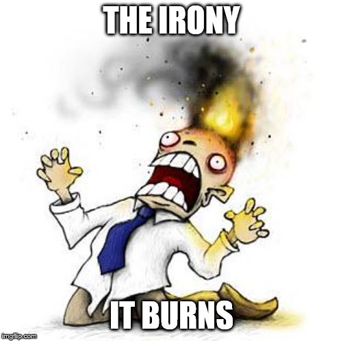 The Irony It Burns!!! | THE IRONY IT BURNS | image tagged in the irony it burns | made w/ Imgflip meme maker