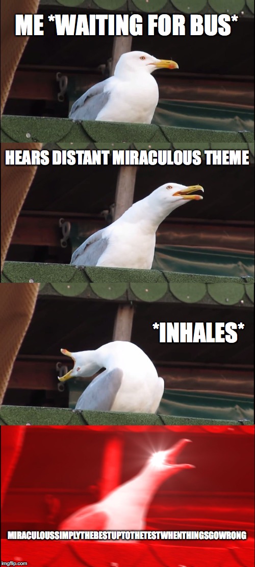 Inhaling Seagull Meme | ME *WAITING FOR BUS*; HEARS DISTANT MIRACULOUS THEME; *INHALES*; MIRACULOUSSIMPLYTHEBESTUPTOTHETESTWHENTHINGSGOWRONG | image tagged in memes,inhaling seagull | made w/ Imgflip meme maker