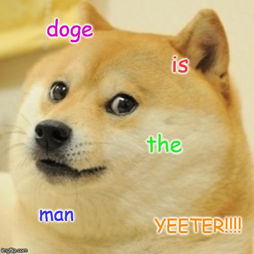 Yeeter dog | doge; is; the; man; YEETER!!!! | image tagged in memes,doge | made w/ Imgflip meme maker