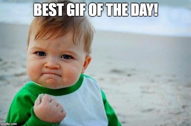 Yes Baby | BEST GIF OF THE DAY! | image tagged in yes baby | made w/ Imgflip meme maker