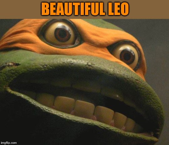 TMNT Mikey | BEAUTIFUL LEO | image tagged in tmnt mikey | made w/ Imgflip meme maker