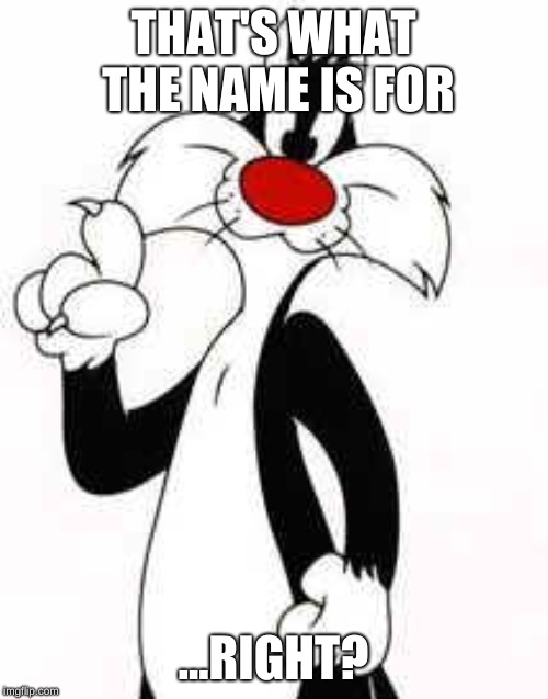 sylvester the cat making a point | THAT'S WHAT THE NAME IS FOR ...RIGHT? | image tagged in sylvester the cat making a point | made w/ Imgflip meme maker