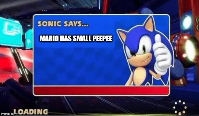 Sonic Says | MARIO HAS SMALL PEEPEE | image tagged in sonic says | made w/ Imgflip meme maker