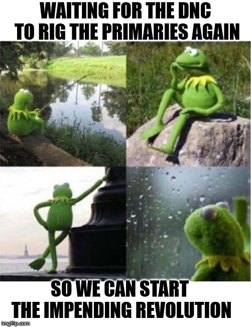 blank kermit waiting | WAITING FOR THE DNC TO RIG THE PRIMARIES AGAIN; SO WE CAN START THE IMPENDING REVOLUTION | image tagged in blank kermit waiting | made w/ Imgflip meme maker