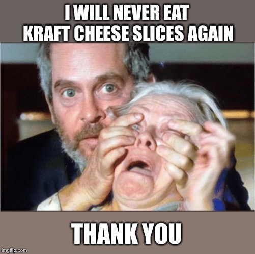 Bird box eyes open | I WILL NEVER EAT KRAFT CHEESE SLICES AGAIN THANK YOU | image tagged in bird box eyes open | made w/ Imgflip meme maker