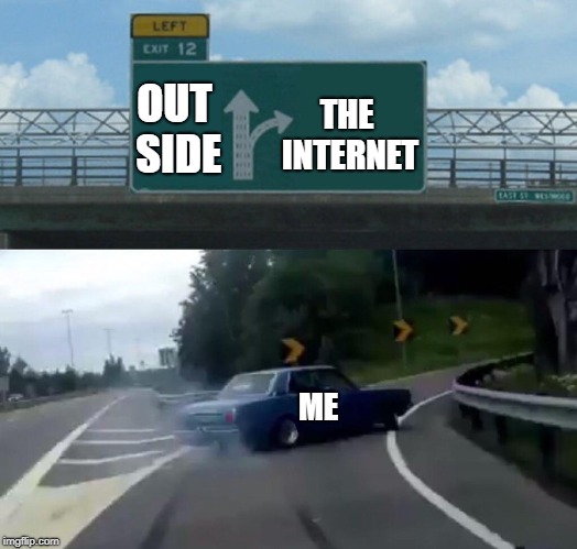 Left Exit 12 Off Ramp | THE INTERNET; OUT SIDE; ME | image tagged in memes,left exit 12 off ramp | made w/ Imgflip meme maker