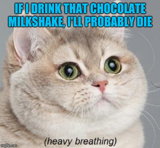 Ultimate contest of instant gratification vs. long term health. Kitty weighs the options ;-) | IF I DRINK THAT CHOCOLATE MILKSHAKE, I'LL PROBABLY DIE | image tagged in memes,heavy breathing cat,chocolate,life and death,cats,i want you | made w/ Imgflip meme maker