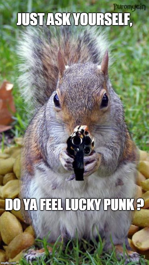 greedy thieving rodents with guns,not lucky for  legal citizens. | JUST ASK YOURSELF, DO YA FEEL LUCKY PUNK ? | image tagged in no fear,kill a rat,meme,feeling lucky | made w/ Imgflip meme maker