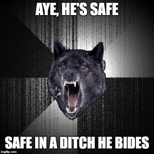 Actual Macbeth quote | AYE, HE'S SAFE; SAFE IN A DITCH HE BIDES | image tagged in memes,insanity wolf,shakespeare,funny,william shakespeare,dark humor | made w/ Imgflip meme maker