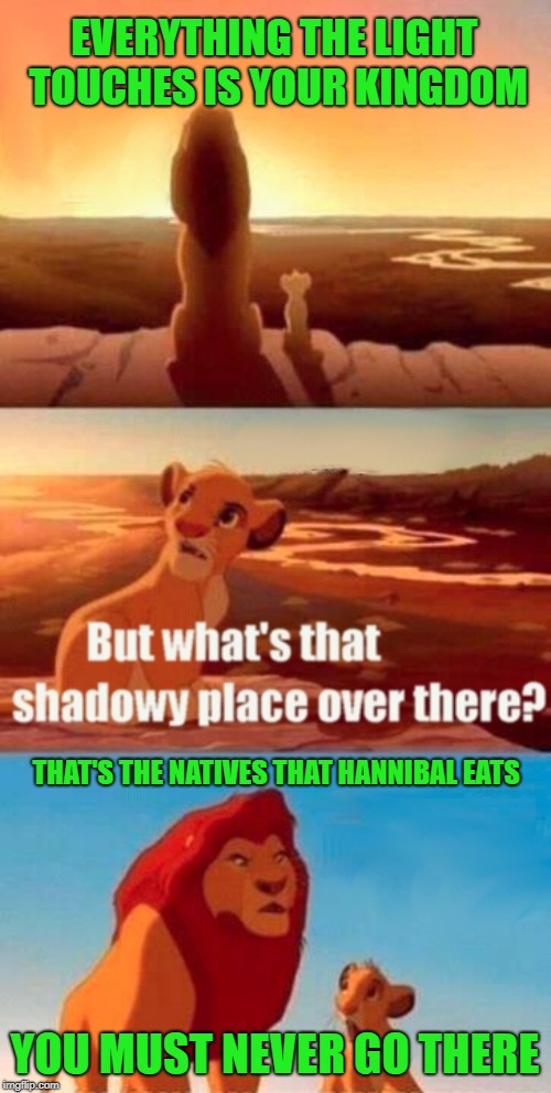 Simba Shadowy Place Meme | EVERYTHING THE LIGHT TOUCHES IS YOUR KINGDOM THAT'S THE NATIVES THAT HANNIBAL EATS YOU MUST NEVER GO THERE | image tagged in memes,simba shadowy place | made w/ Imgflip meme maker