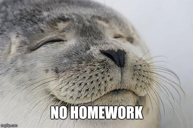 Satisfied Seal Meme | NO HOMEWORK | image tagged in memes,satisfied seal | made w/ Imgflip meme maker