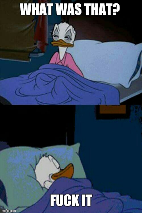 sleepy donald duck in bed | WHAT WAS THAT? F**K IT | image tagged in sleepy donald duck in bed | made w/ Imgflip meme maker