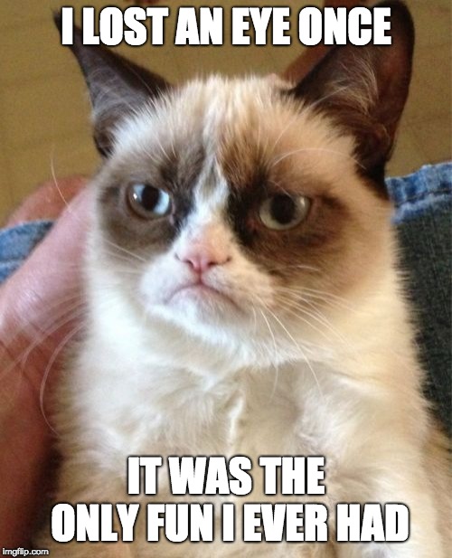 Grumpy Cat | I LOST AN EYE ONCE; IT WAS THE ONLY FUN I EVER HAD | image tagged in memes,grumpy cat | made w/ Imgflip meme maker