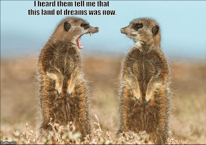 Wildlife comedy | I heard them tell me that this land of dreams was now. | image tagged in wildlife comedy | made w/ Imgflip meme maker