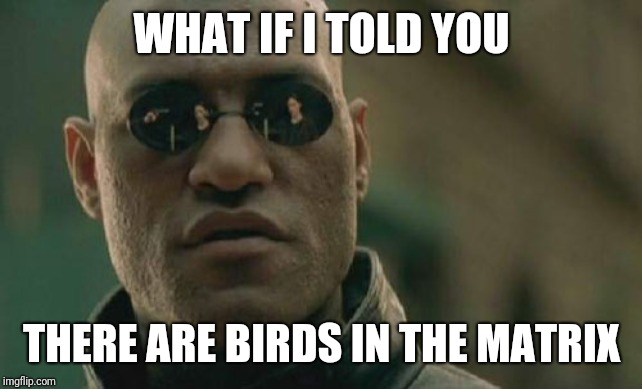 Matrix Morpheus Meme | WHAT IF I TOLD YOU THERE ARE BIRDS IN THE MATRIX | image tagged in memes,matrix morpheus | made w/ Imgflip meme maker