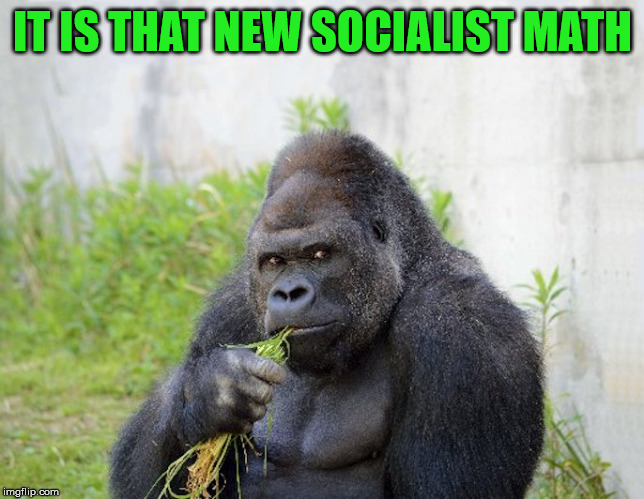 IT IS THAT NEW SOCIALIST MATH | image tagged in sexy monkey memes gorilla | made w/ Imgflip meme maker