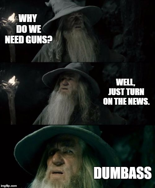 Confused Gandalf Meme | WHY DO WE NEED GUNS? WELL, JUST TURN ON THE NEWS. DUMBASS | image tagged in memes,confused gandalf,random,2nd amendment | made w/ Imgflip meme maker