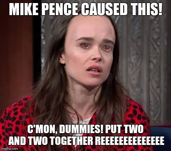 Page's landing strip | MIKE PENCE CAUSED THIS! C'MON, DUMMIES! PUT TWO AND TWO TOGETHER REEEEEEEEEEEEEE | image tagged in page's landing strip | made w/ Imgflip meme maker