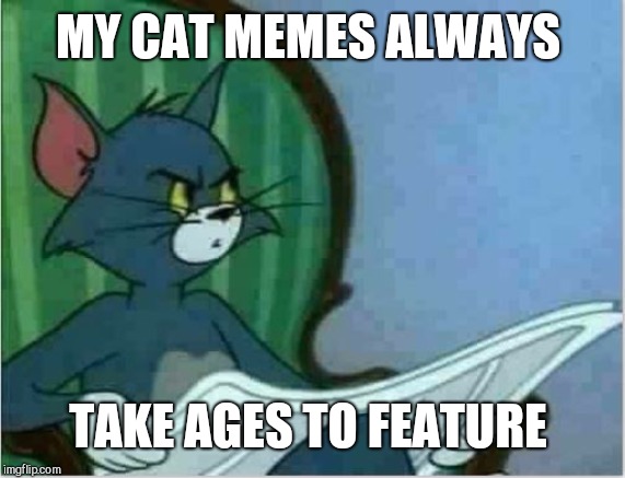 Interrupting Tom's Read | MY CAT MEMES ALWAYS TAKE AGES TO FEATURE | image tagged in interrupting tom's read | made w/ Imgflip meme maker