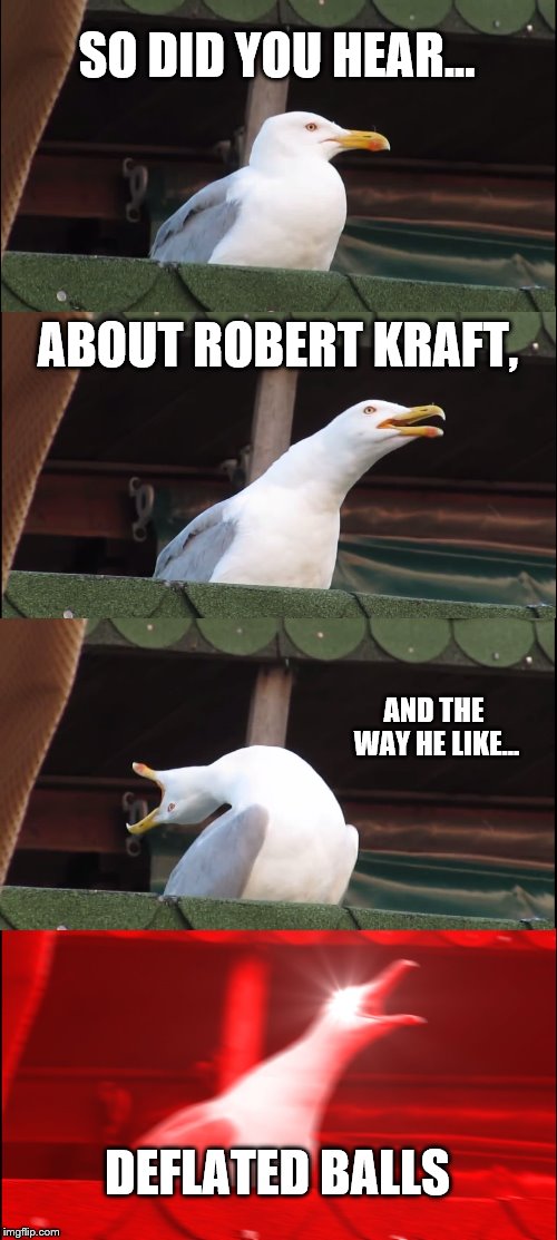 Robert Kraft's Balls | SO DID YOU HEAR... ABOUT ROBERT KRAFT, AND THE WAY HE LIKE... DEFLATED BALLS | image tagged in memes,inhaling seagull,new england patriots | made w/ Imgflip meme maker