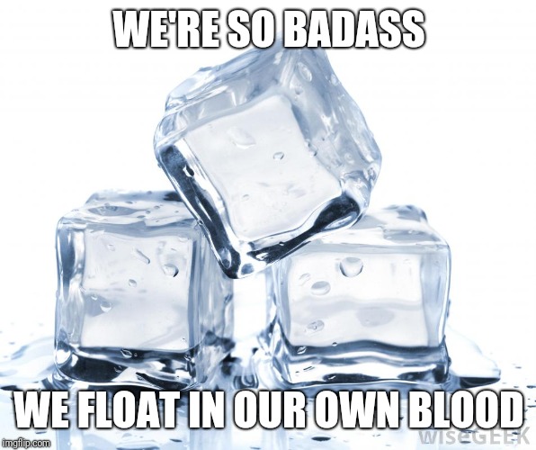 Interesting title! | WE'RE SO BADASS; WE FLOAT IN OUR OWN BLOOD | image tagged in ice cubes,memes,funny memes,overly manly man,badass,ice | made w/ Imgflip meme maker