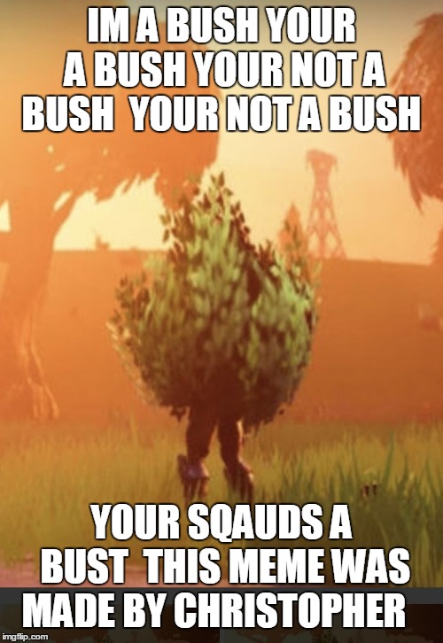 Fortnite bush | IM A BUSH YOUR A BUSH YOUR NOT A BUSH  YOUR NOT A BUSH; YOUR SQAUDS A BUST 
THIS MEME WAS MADE BY CHRISTOPHER | image tagged in fortnite bush | made w/ Imgflip meme maker