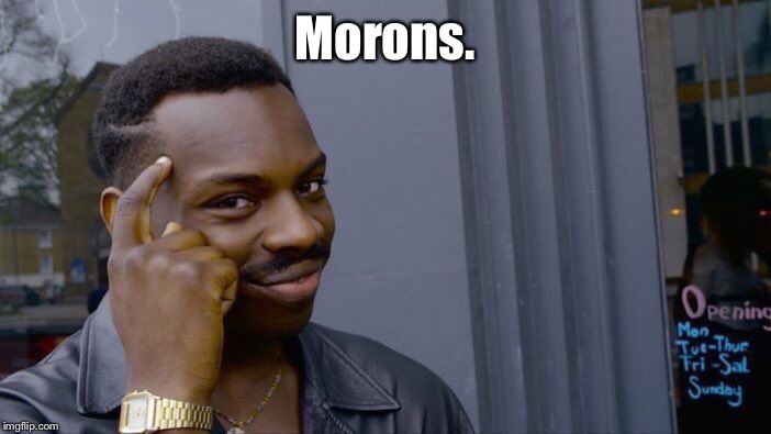 Roll Safe Think About It Meme | Morons. | image tagged in memes,roll safe think about it | made w/ Imgflip meme maker