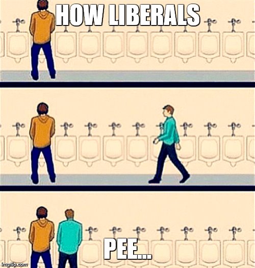 HOW LIBERALS; PEE... | image tagged in liberals,stupid liberals | made w/ Imgflip meme maker
