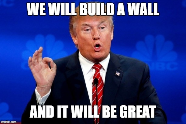 Donald Trump Ok | WE WILL BUILD A WALL; AND IT WILL BE GREAT | image tagged in donald trump ok | made w/ Imgflip meme maker