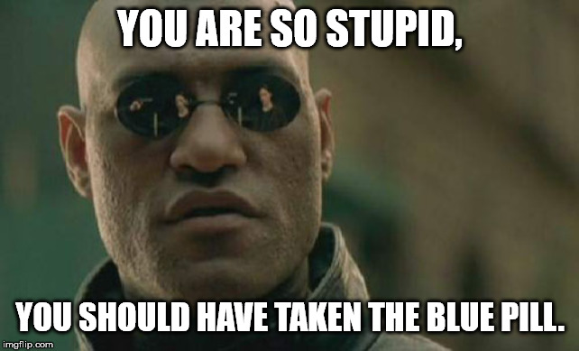 Matrix Morpheus | YOU ARE SO STUPID, YOU SHOULD HAVE TAKEN THE BLUE PILL. | image tagged in memes,matrix morpheus | made w/ Imgflip meme maker