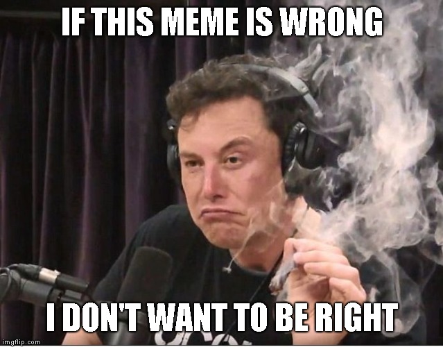 Elon Musk smoking a joint | IF THIS MEME IS WRONG I DON'T WANT TO BE RIGHT | image tagged in elon musk smoking a joint | made w/ Imgflip meme maker