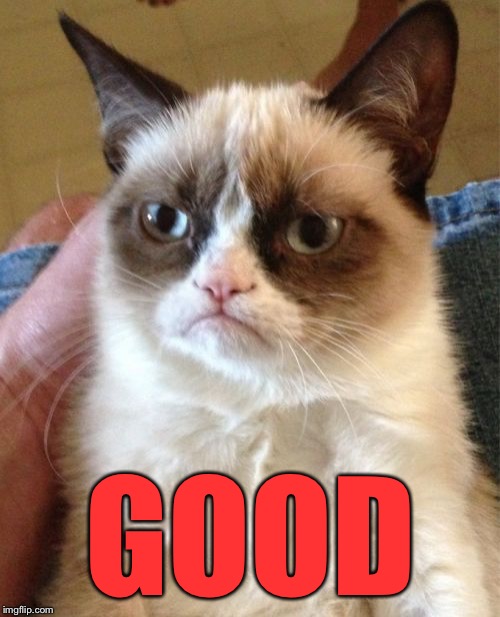 Grumpy Cat Meme | GOOD | image tagged in memes,grumpy cat | made w/ Imgflip meme maker