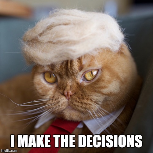 I MAKE THE DECISIONS | made w/ Imgflip meme maker
