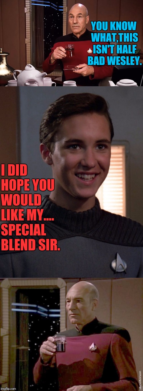Specially Blended | YOU KNOW WHAT,THIS ISN'T HALF BAD WESLEY. I DID HOPE YOU WOULD LIKE MY.... SPECIAL BLEND SIR. | image tagged in star trek the next generation,star trek tng,captain picard,wesley crusher,picard | made w/ Imgflip meme maker