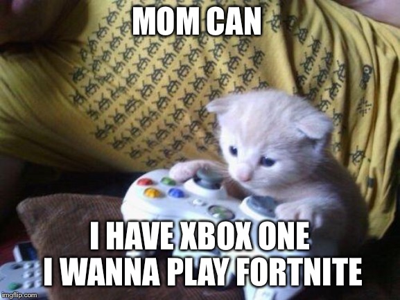 cute kitty on xbox | MOM CAN; I HAVE XBOX ONE I WANNA PLAY FORTNITE | image tagged in cute kitty on xbox | made w/ Imgflip meme maker