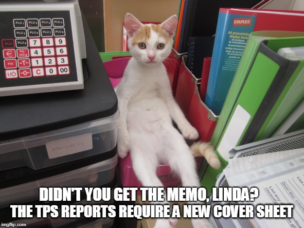 TPS reports Memo | THE TPS REPORTS REQUIRE A NEW COVER SHEET; DIDN'T YOU GET THE MEMO, LINDA? | image tagged in cats,office space | made w/ Imgflip meme maker