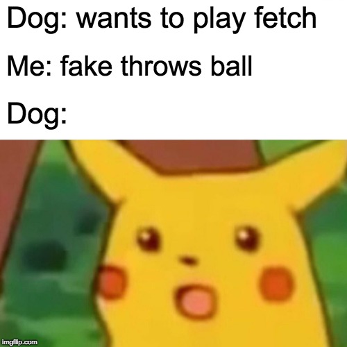 Surprised Pikachu | Dog: wants to play fetch; Me: fake throws ball; Dog: | image tagged in memes,surprised pikachu | made w/ Imgflip meme maker