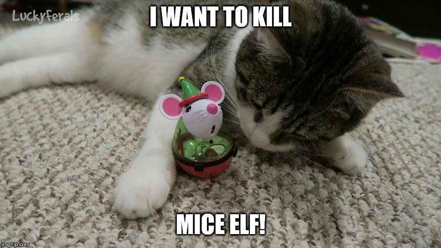 I WANT TO KILL; MICE ELF! | image tagged in cats,funny,demotivationals | made w/ Imgflip meme maker
