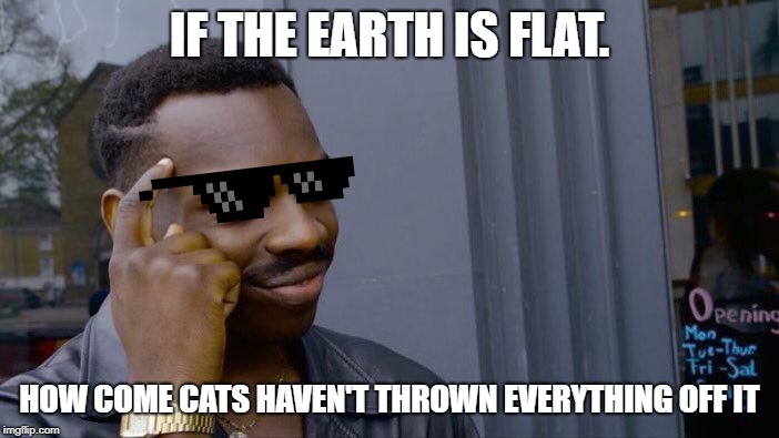 Roll Safe Think About It Meme | IF THE EARTH IS FLAT. HOW COME CATS HAVEN'T THROWN EVERYTHING OFF IT | image tagged in memes,roll safe think about it | made w/ Imgflip meme maker