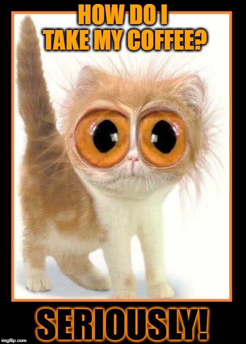 Do I look like I've had enough coffee? HUH!?! | HOW DO I TAKE MY COFFEE? SERIOUSLY! | image tagged in vince vance,coffee addict,coffee memes,big-eyed cat,caffeine,coffee | made w/ Imgflip meme maker