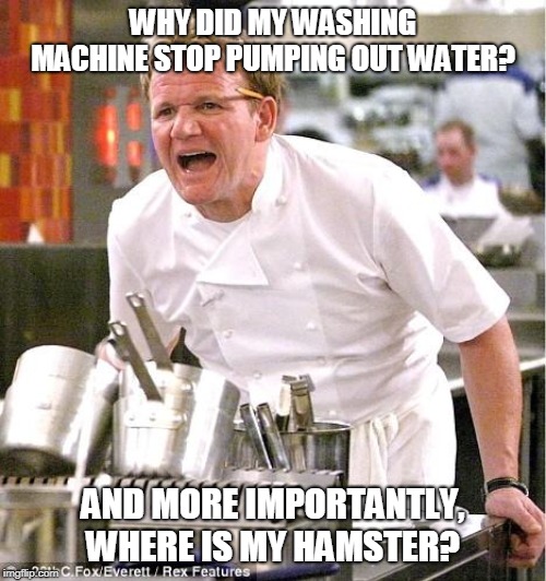 Chef Gordon Ramsay Meme | WHY DID MY WASHING MACHINE STOP PUMPING OUT WATER? AND MORE IMPORTANTLY, WHERE IS MY HAMSTER? | image tagged in memes,chef gordon ramsay | made w/ Imgflip meme maker