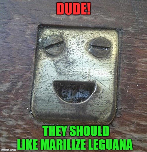 leguana marilizeation  | DUDE! THEY SHOULD LIKE MARILIZE LEGUANA | image tagged in face,marijuana,funny | made w/ Imgflip meme maker
