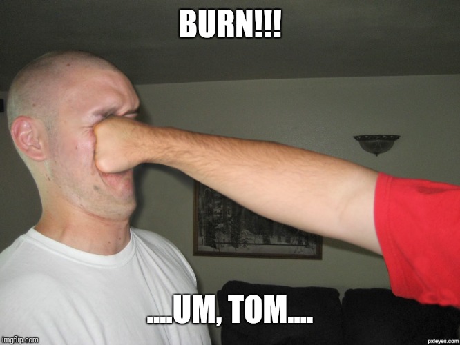 Face punch | BURN!!! ....UM, TOM.... | image tagged in face punch | made w/ Imgflip meme maker