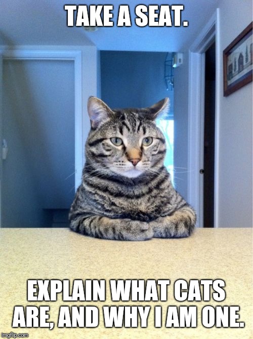 Take A Seat Cat | TAKE A SEAT. EXPLAIN WHAT CATS ARE, AND WHY I AM ONE. | image tagged in memes,take a seat cat | made w/ Imgflip meme maker