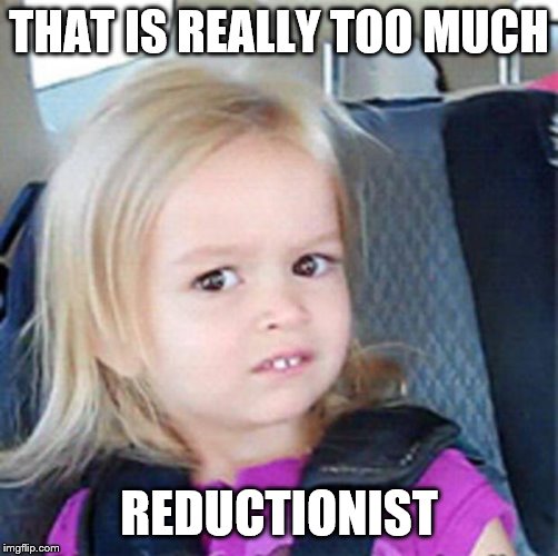 Confused Little Girl | THAT IS REALLY TOO MUCH REDUCTIONIST | image tagged in confused little girl | made w/ Imgflip meme maker